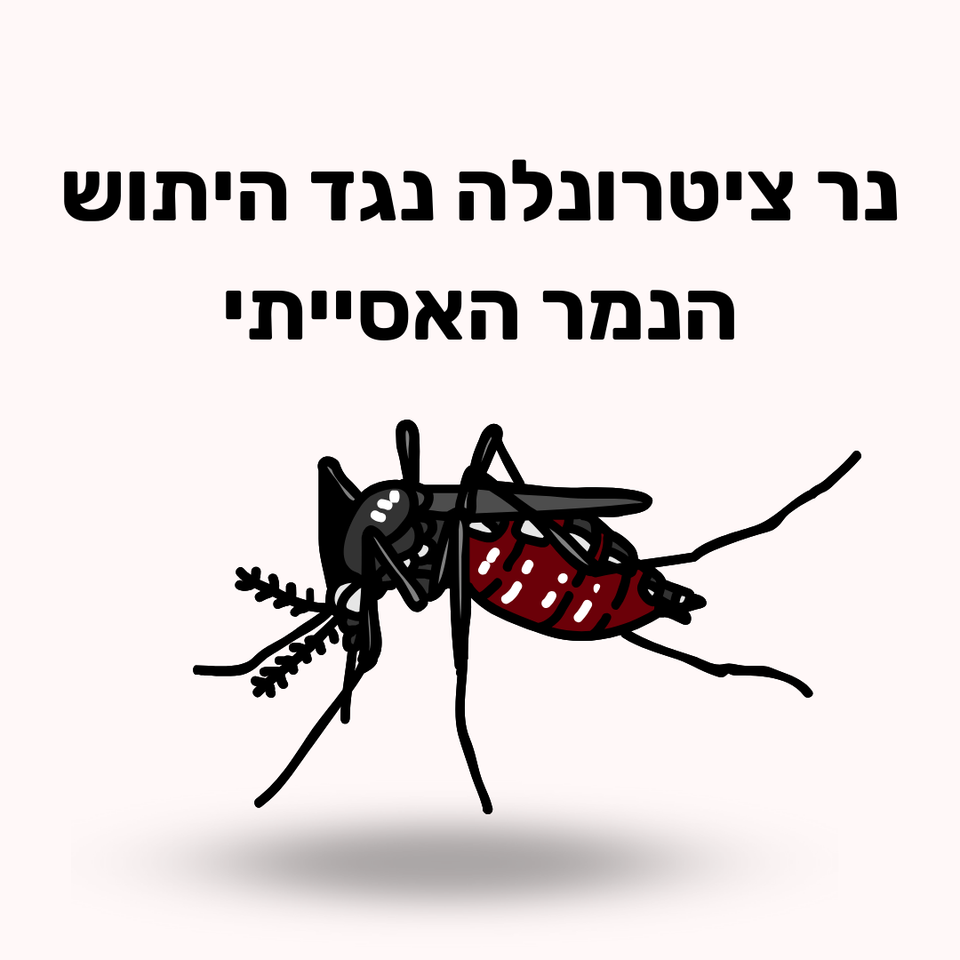 נר ציטרונלה ליתושים - 36 שעות נטולות יתושים