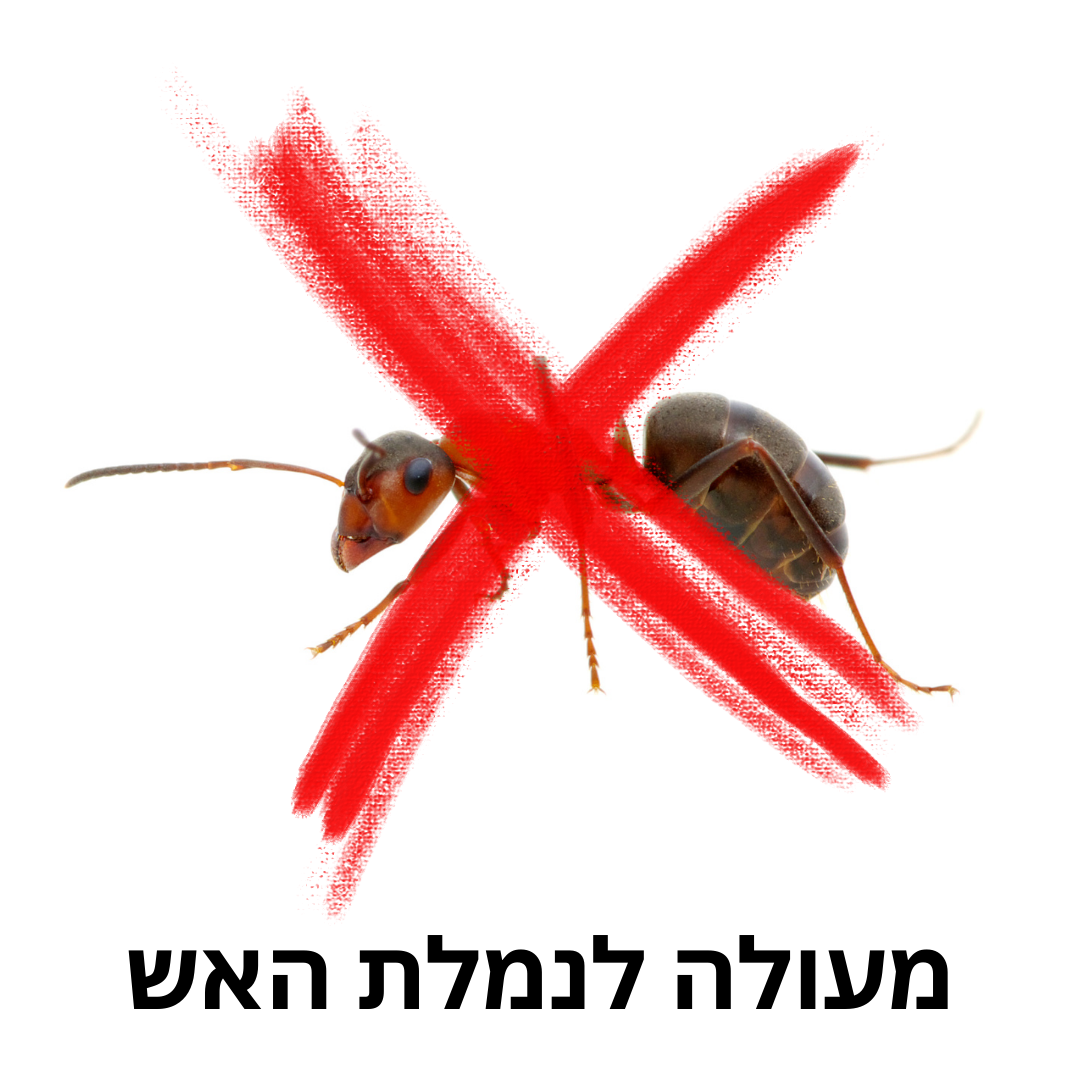 טופגריין לנמלים ולנמלת האש