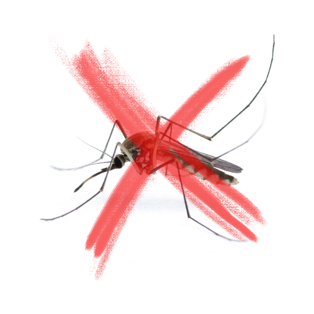 נר ציטרונלה ליתושים - 36 שעות נטולות יתושים